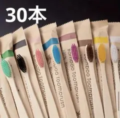 竹製歯ブラシ30本セット （10カラー×3セット）のサムネイル