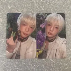 &TEAM HARUA Back to life トレカ 封入