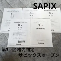 2025年最新】サピックスオープン 3年の人気アイテム - メルカリ