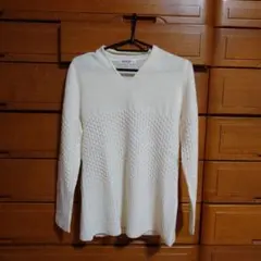 Item thumbnail for item d071dfea-21a3-496b-9a40-1f132fe8566f