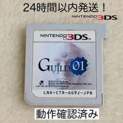 【限定セール】GUILD 01 Nintendo 3DS