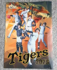 非売品】阪神タイガース 甲子園球場来場記念グッズ2026 クリアファイル