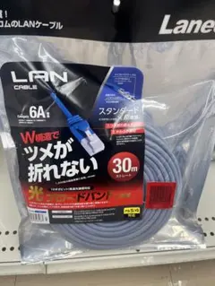 LANケーブル 30m カテゴリ6A ツメ折れない