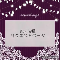 Karin様 リクエスト 2点 まとめ商品