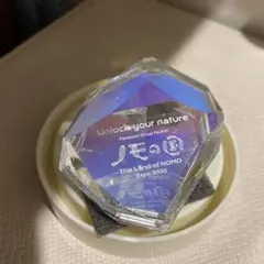 2026年最新】ノモの国の人気アイテム - メルカリ