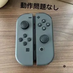 NintendoSwitch ジョイコン グレ