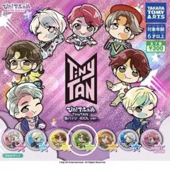 ぴた！でふぉめ TinyTAN 缶バッジ IDOL J-HOPE - メルカリ