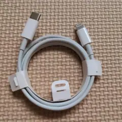 iphone USB-C to Lightning ケーブル