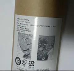 沢口愛華 2023年 カレンダー 特典ボーナスページ付 - メルカリ
