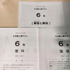 2026年最新】sapix 入室テストの人気アイテム - メルカリ