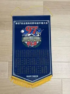第77回全国高等学校野球選手権大会 大会出場校記載ペナント - メルカリ