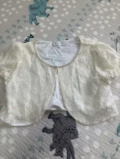 Item thumbnail for item 3414a9e5-a67c-4dc5-8488-70df910715f1