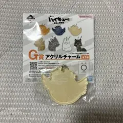 ハイキュー一番くじ　G賞　アクリルチャーム　月島