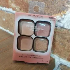 KATE ポッピングシルエットシャドウ EX-2