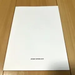 【美品】STUSSY SPRING 2019 ルックブック カタログのサムネイル