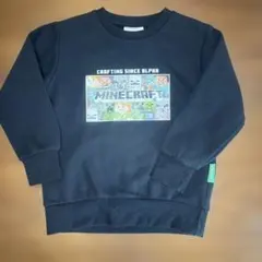 マインクラフトトレーナー120