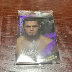 ラジャブアリ シェイドゥラエフ