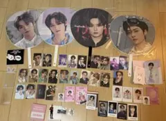 straykids スキズ リノ まとめ売り