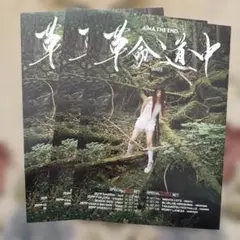 アイナ・ジ・エンド 革命道中　2025 チラシ　フライヤー