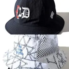 Item thumbnail for item 992a9549-c4b0-49c8-b852-fb496394c945