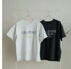 新品　terawear emu Tシャツ Lサイズ　薄いグレーのサムネイル