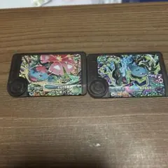 ポケモンフレンダ　メガリザードンX メガフシギバナ