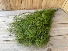 オハナ様 リクエスト 5点 まとめ商品