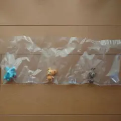 ポケモンスケールワールド ヒメグマ オタチ ゴマゾウ