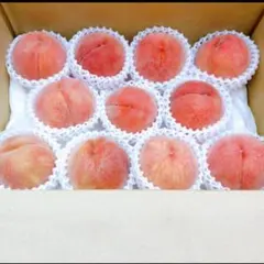 山梨一宮の甘い桃 特大6個詰めて発送 美味しいょ ももやのきよし
