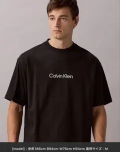 Calvin Klein Tシャツ