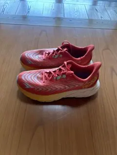 Item thumbnail for item e80ae1cc-f843-4d23-8c7a-46135481da6f