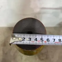 Item thumbnail for item db0207c1-5e1c-4bbb-a3ce-279ddd9ce2b3