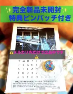 2026年最新】イエローマジックオーケストラパブリックプレッシャーの