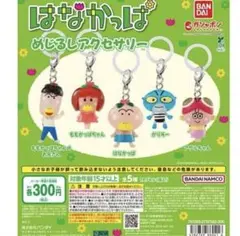 ☆*☆様 5種コンプ　はなかっぱ　めじるしアクセサリー