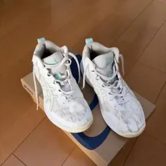 asics GELHOOP V17 27.5cm ホワイト/ミント