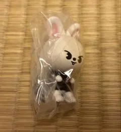 SKZOO つまんでつなげてますこっとでらっくす！Straykids リービット