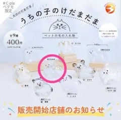 きょん様 リクエスト 2点 まとめ商品