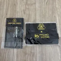 群馬クレインサンダーズ　チケットホルダー　巾着