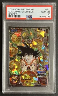 ドラコンボールヒーローズ　 孫悟空/ベジータ PSA 10 ドラコンボールヒーローズ 孫悟空/ベジータ PSA 10 【公式通販】