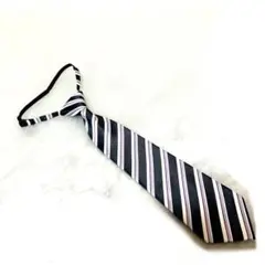 Item thumbnail for item 20326b1d-51c9-48a8-896e-8291a866ac72