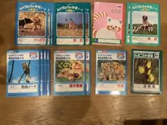 ノート　セット　さんすう　算数　国語　こくご　漢字　連絡帳　自由ノート　5冊