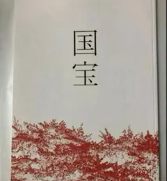 吉沢亮　映画国宝　限定ブックレット　＆　映画チラシ1枚　立花喜久雄 国宝 | 映画チラシ・フライヤー・パンフレット販売 大辞典