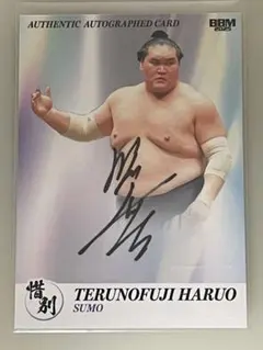 Item thumbnail for item 852572bc-c0ed-43be-8933-0546cc843db9