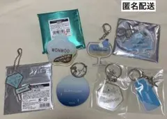 SEVENTEEN ウォヌ ネームキーホルダーセット セブチ