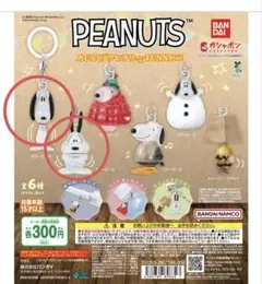 PEANUTS めじるしアクセサリー FUNNY ver. スヌーピーA B