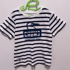 CHUMS ボーダー Tシャツ キッズ M 100-115のサムネイル