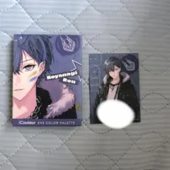 小柳ロウ iCouleur アイカラーパレット 特典