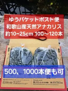 2026年最新】魚用品・水草の人気アイテム - メルカリ