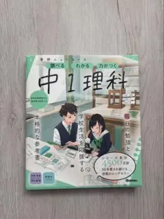 とも様 リクエスト 2点 まとめ商品