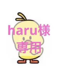 【haru様　専用】のサムネイル